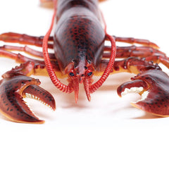 Sea Figurine - Maine Lobster