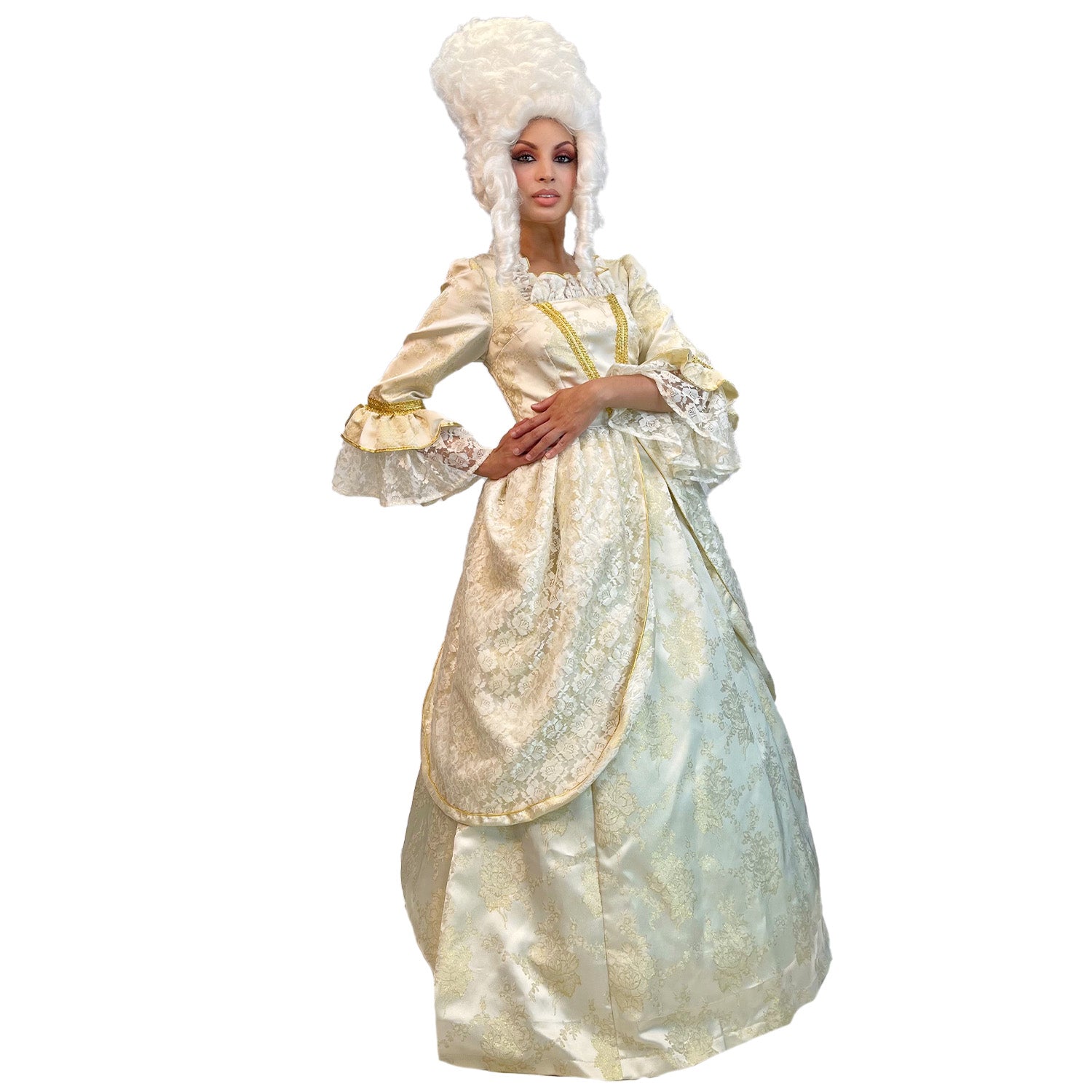 Colonial Lady Marie Antoinette Rump Dress Women's Adult Costume