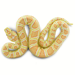 Python Prop - Albino Burmese