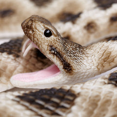 Rattlesnake Prop - Eastern Diamondback