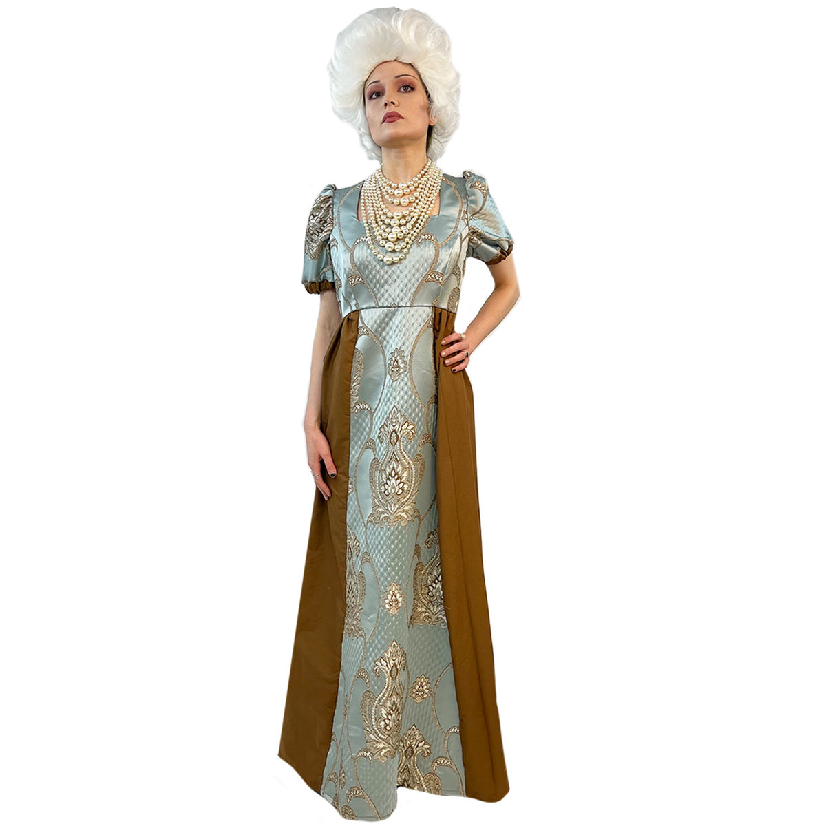Regency Blue and Brown Women's Dress Adult Costume