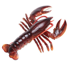 Sea Figurine - Maine Lobster