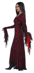 Lace Vampire Dress Women's Costume