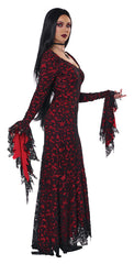 Lace Vampire Dress Women's Costume