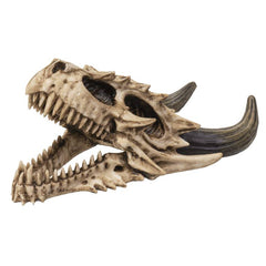 Mountable Cold Cast Resin Dragon Skull