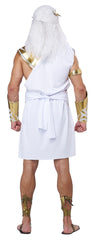 Zeus Men's Costume