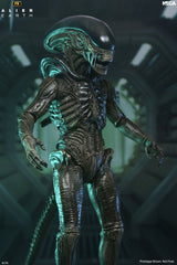 ALIEN EARTH - 7 INCH SCALE ACTION FIGURE - ULTIMATE WENDY'S XENOMORPH