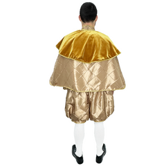 Medieval Men's Gold Merchant Adult Costume
