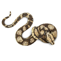 Boa Constrictor - Toy Figurine
