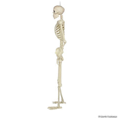 60" POSE-N-STAY Skeleton Decoration