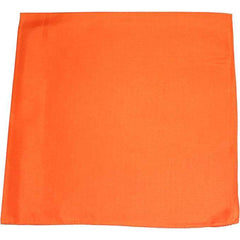 Solid Color Bandana