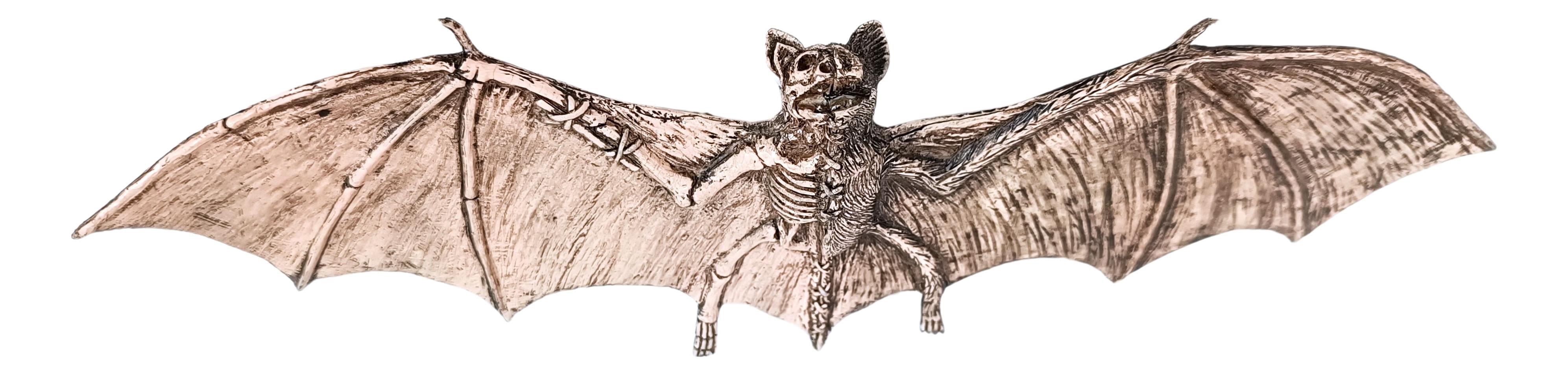 Rotten Skeleton Bat – AbracadabraNYC