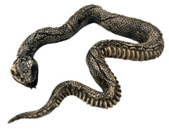 Rotten Skeleton Snake