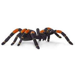 Spider Prop - Orange Kneed Tarantula