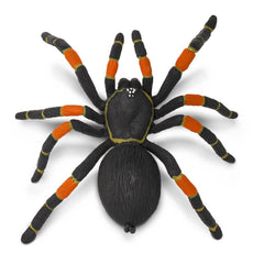 Spider Prop - Orange Kneed Tarantula