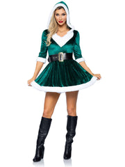 Mrs. Claus Sexy Christmas Costume
