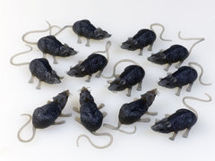 Bag of Mice - 12 Mice