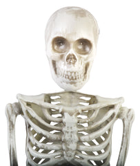 36” Articulated Skeleton