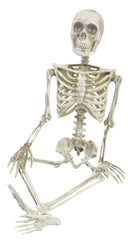 36” Articulated Skeleton