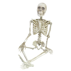 36” Articulated Skeleton