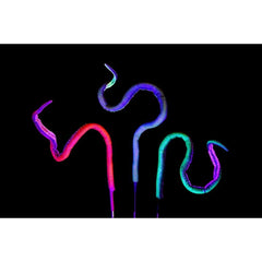 5' Kraken Posable Tentacle Blacklight Prop