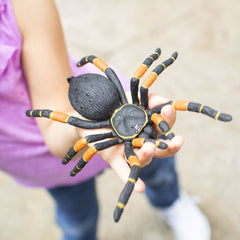 Spider Prop - Orange Kneed Tarantula