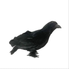 Crow Prop