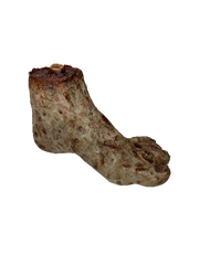 Custom Severed Left Zombie Foot