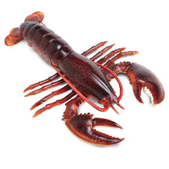 Sea Figurine - Maine Lobster