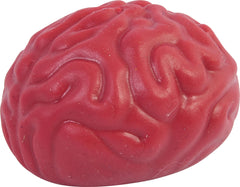 3" Realistic Squishy Brain