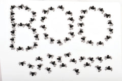 Spider Infestation - 60 Spiders