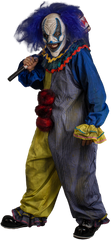 Blue Carousel Clown Adult Costume