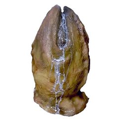 Alien Egg Prop