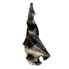 Animatronic Hanging Bat Prop