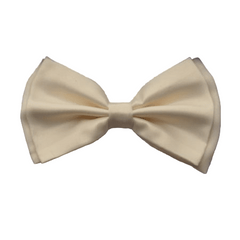Bow Tie