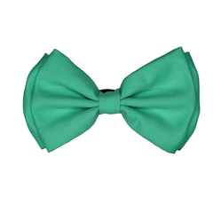 Bow Tie