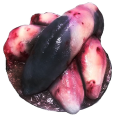Beef Tongue Prop