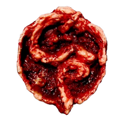 Bowl of Entrails Prop