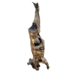 Hanging Rotted Rabbit Prop