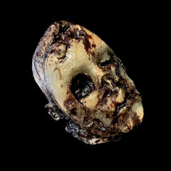 Decomposed Don Fake Human Head Prop