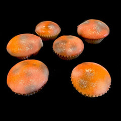 Six Moldy Muffins Prop