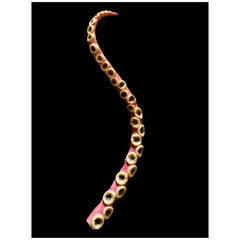 4' Monster Tentacle Prop