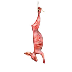 Hanging Skinned Rabbit Prop