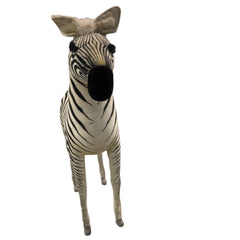 Baby Zebra Prop