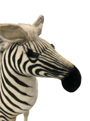 Baby Zebra Prop