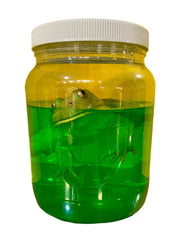 Toad Specimen Jar