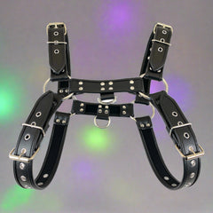 Black Buckle Bulldog Harness