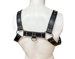 Black Buckle Bulldog Harness