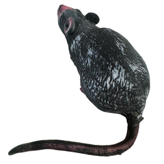 10in Latex Rat