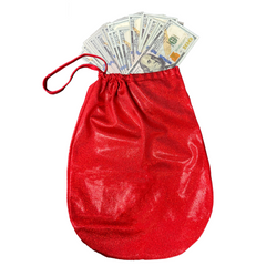 Twinkle Money Bag
